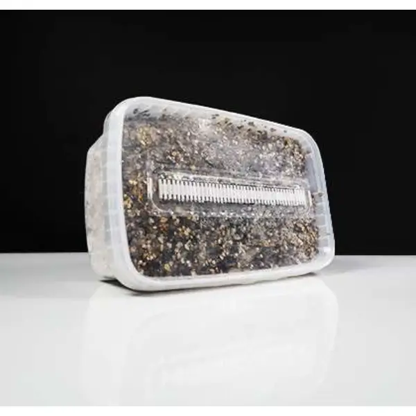 Golden Teacher Grow Kit - 1200 cc