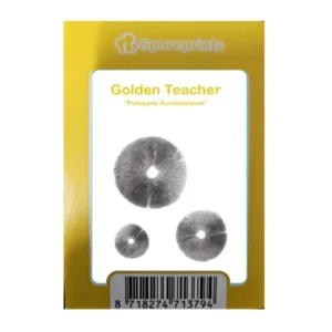 Golden Teacher Spore print